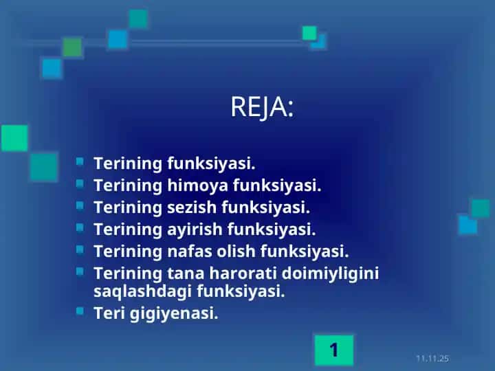 Terining funksiyasi