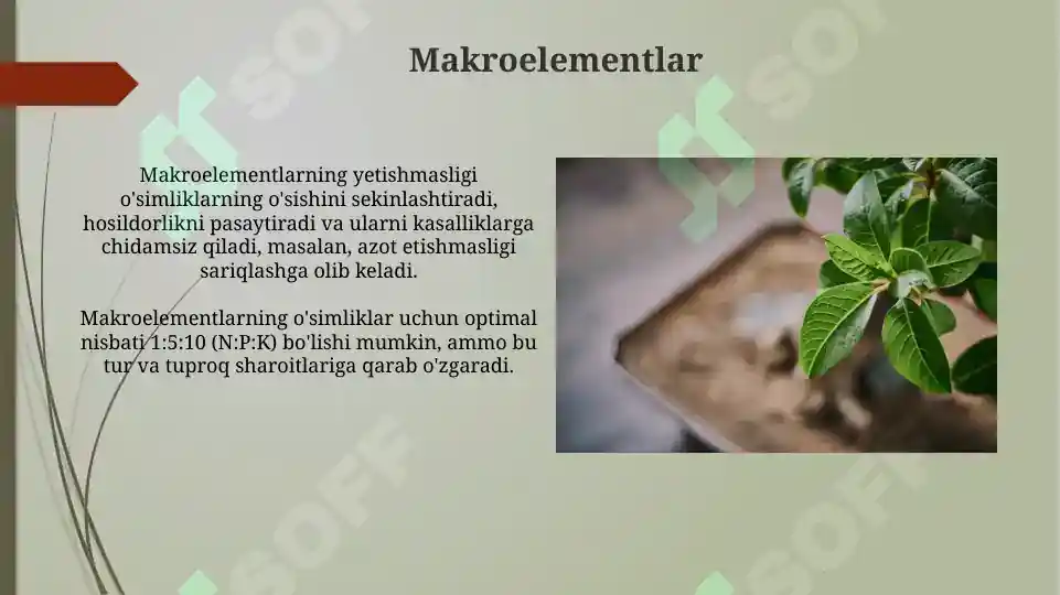 Product slide 5