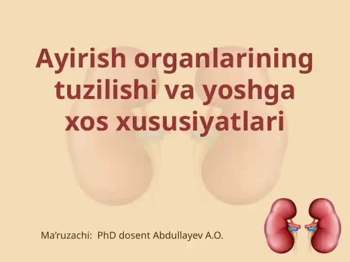 Ayirish organlarining tuzilishi va yoshga xos xususiyatlari