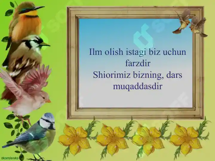 Product slide 7