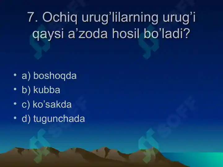 Product slide 8