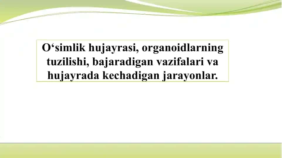O‘simlik hujayrasi