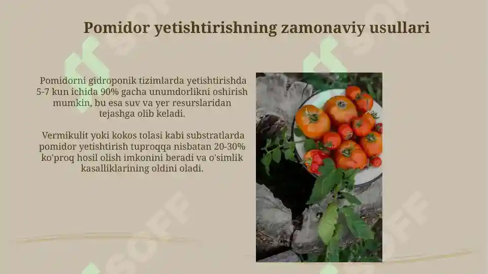 Product slide 7