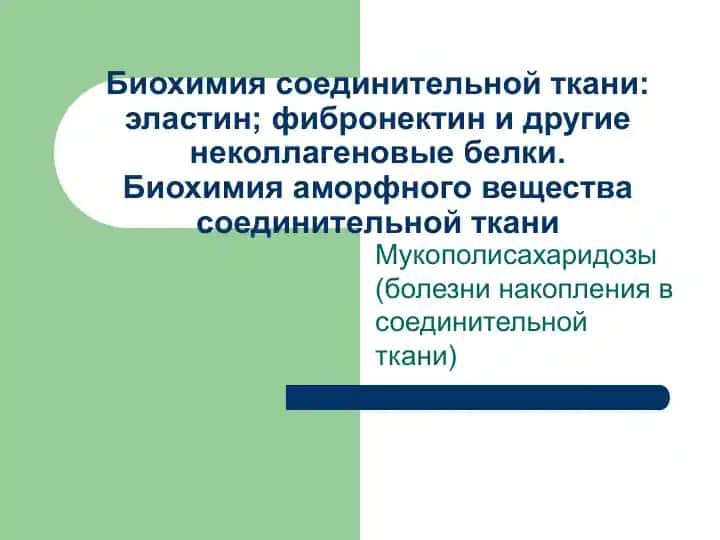 Биохимия соединительной ткани: эластин; фибронектин и другие неколлагеновые белки