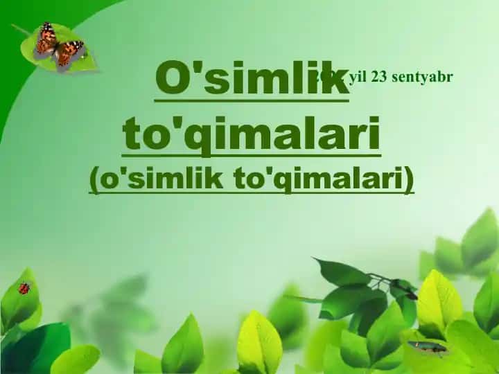 O'simlik to'qimalari