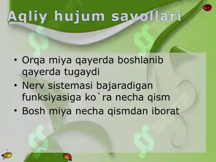 Product slide 5