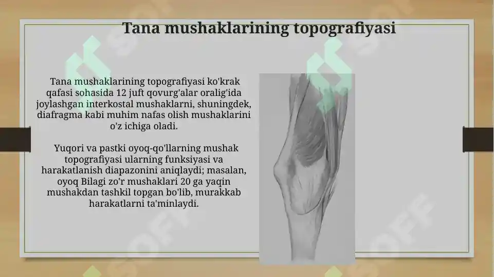 Product slide 6