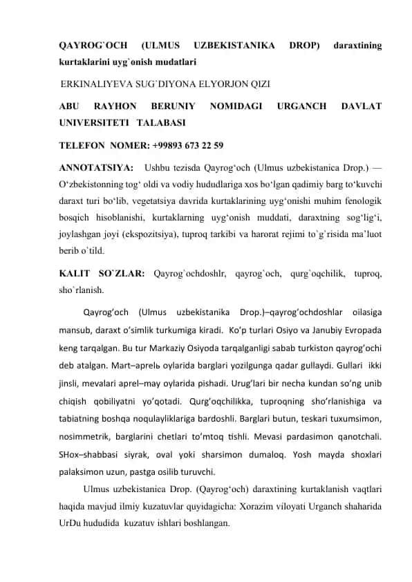Qayrog`OCH (ULMUS UZBEKISTANIKA DROP)