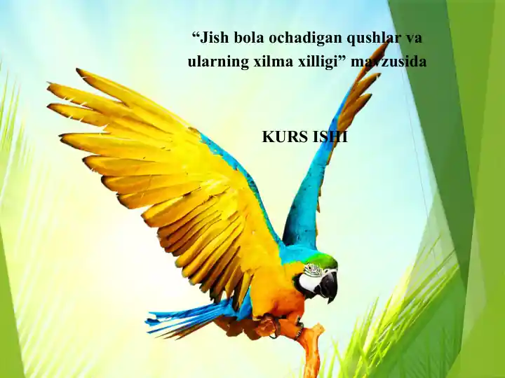 Qushlar sinfi