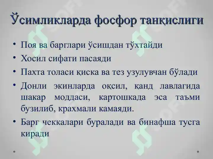 Product slide 6