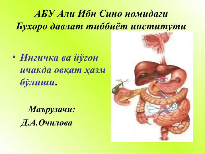 Ингичка ва йўғон ичакда овқат ҳазм бўлиши