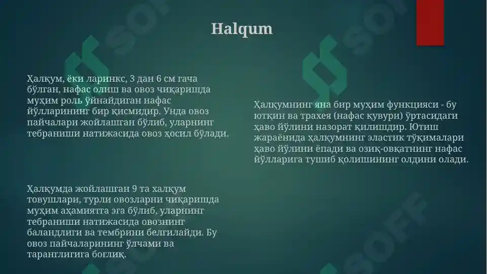 Product slide 8