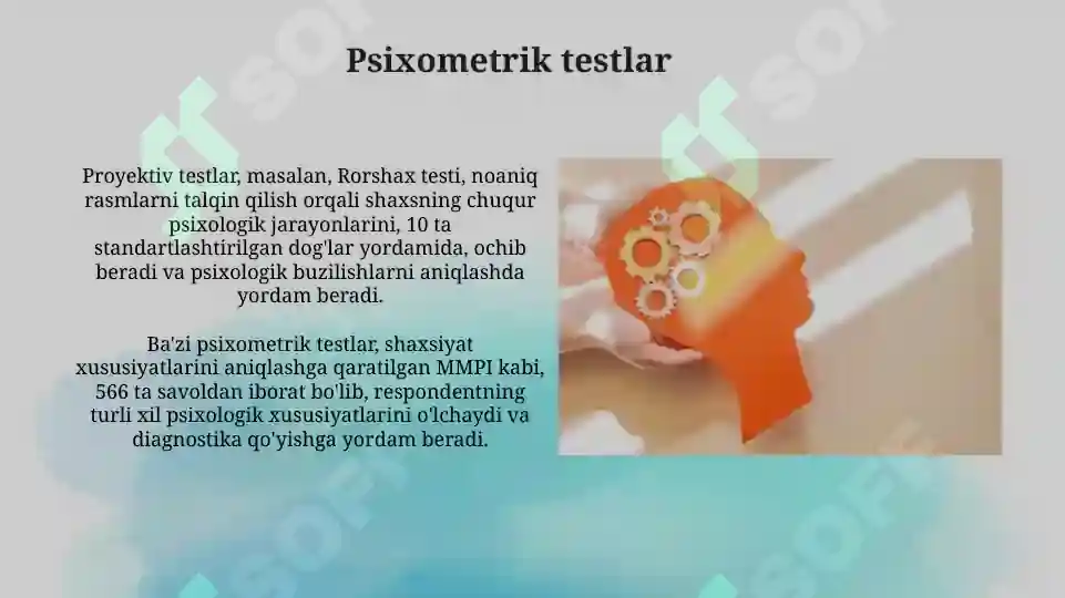 Product slide 8