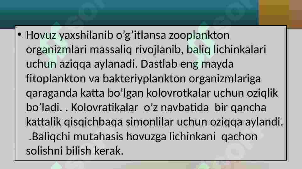 Product slide 8