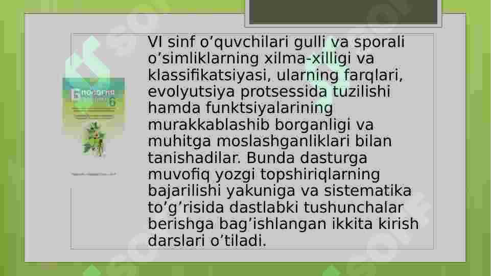 Product slide 7