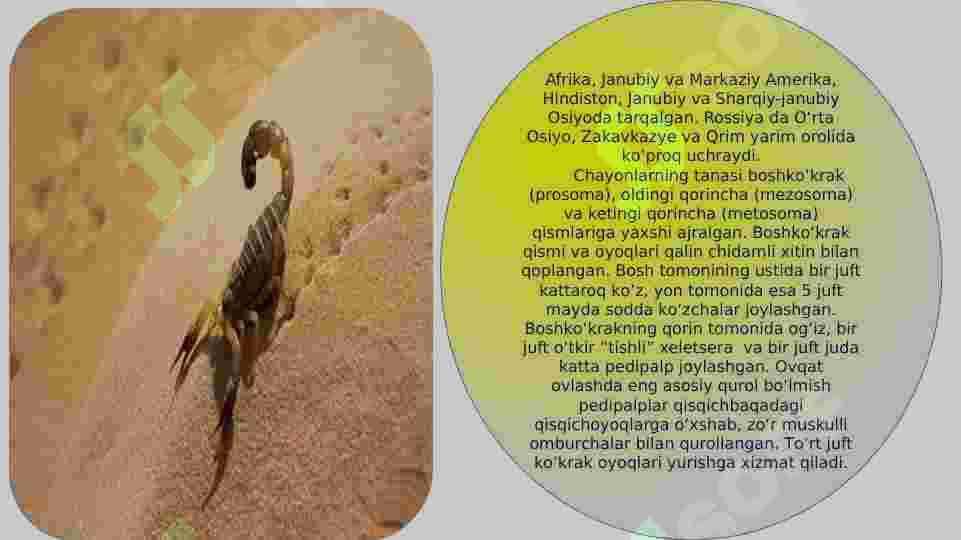 Product slide 5