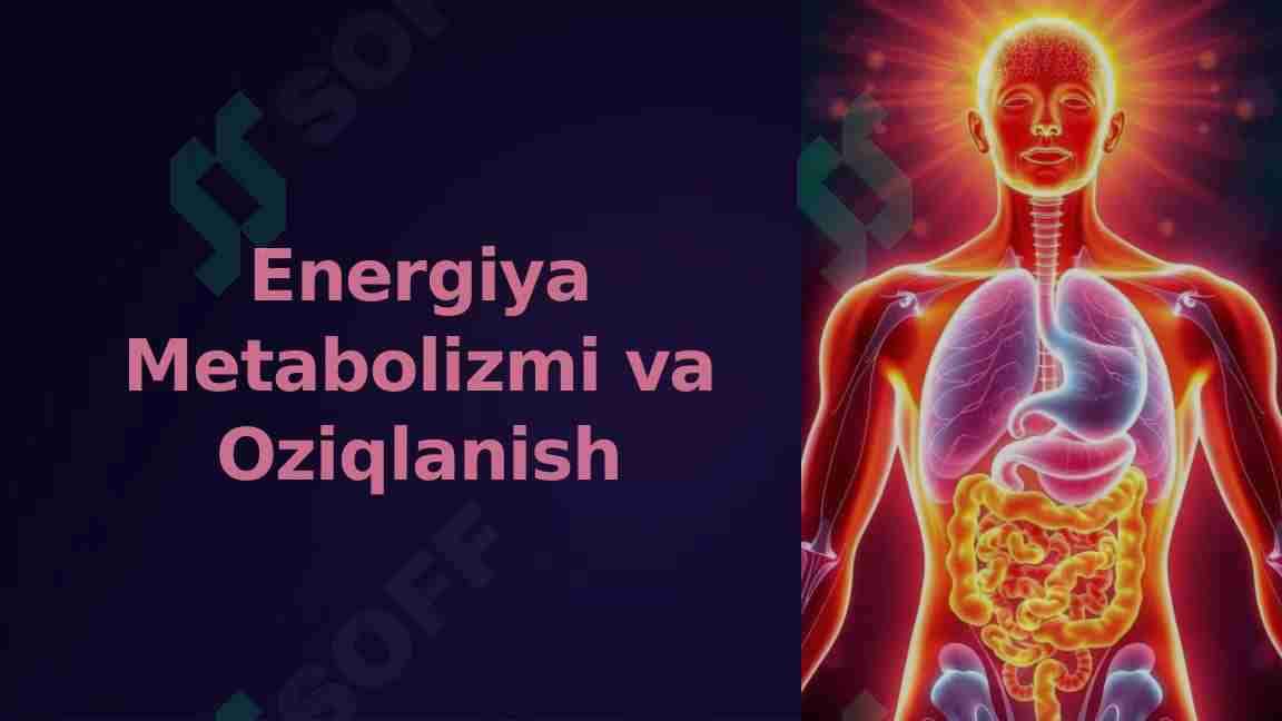 Energiya Metabolizmi va Oziqlanish