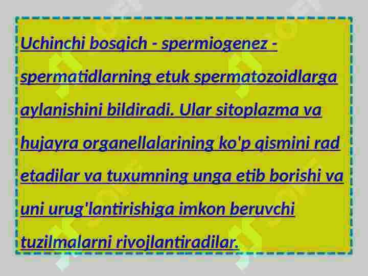 Product slide 8
