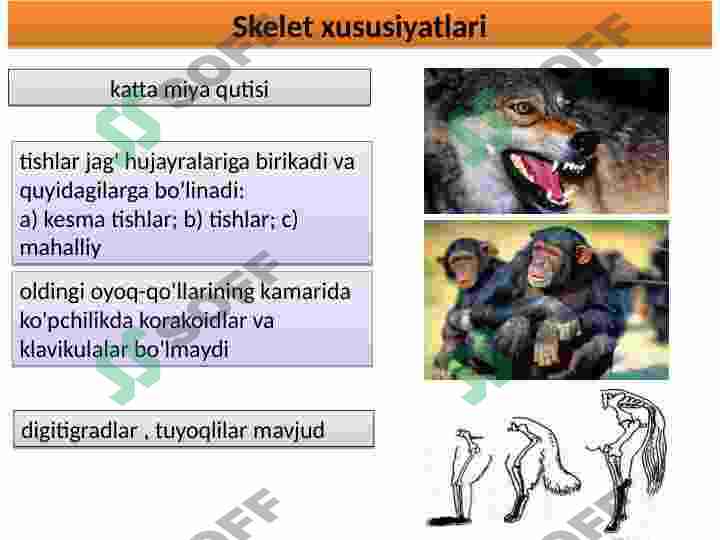 Product slide 6