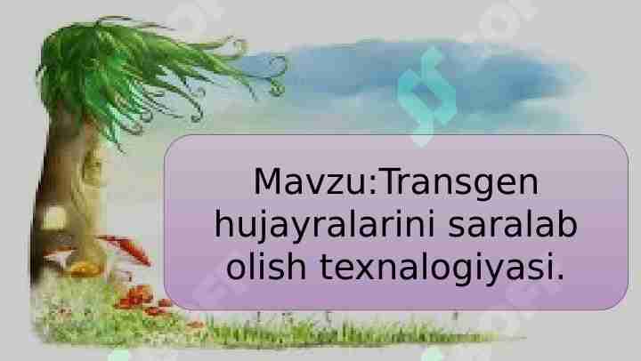 Transgen hujayralarini saralab olish texnalogiyasi va hayvonlar o'rtasidagi belgilar