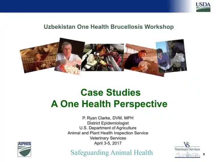 Uzbekistan One Health Brucellosis Workshop