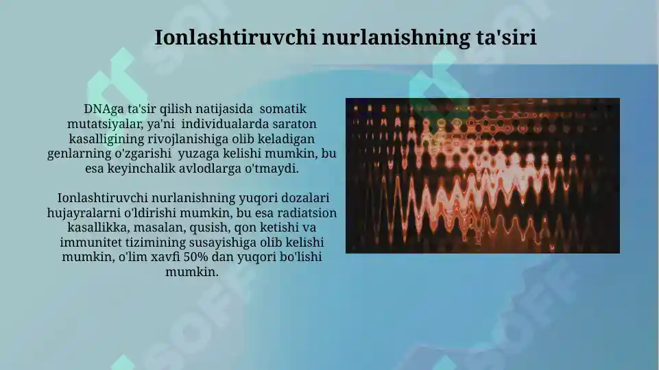 Product slide 6