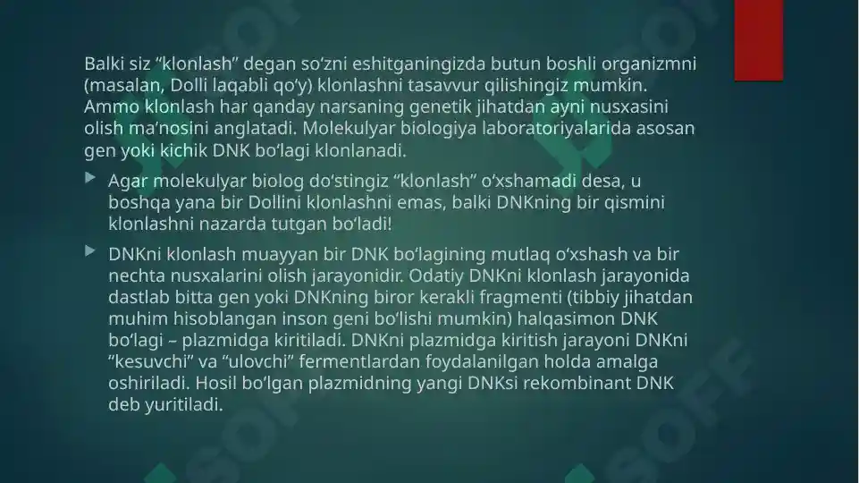 Product slide 5