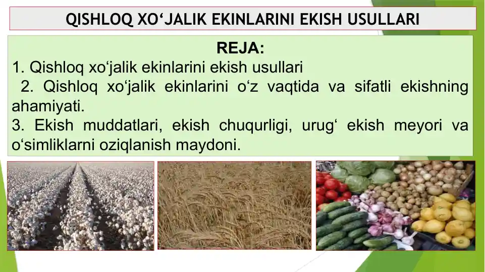Qishloq XO‘JALIK EKINLARINI EKISH USULLARI