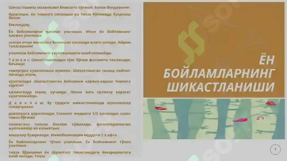 Product slide 7