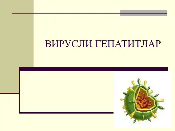 virusli gepatitlar