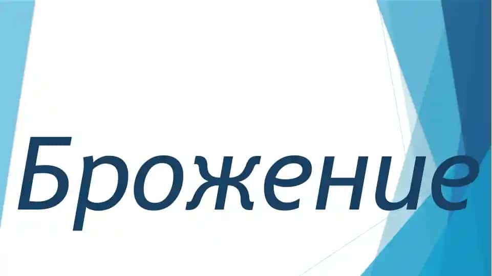 Брожение