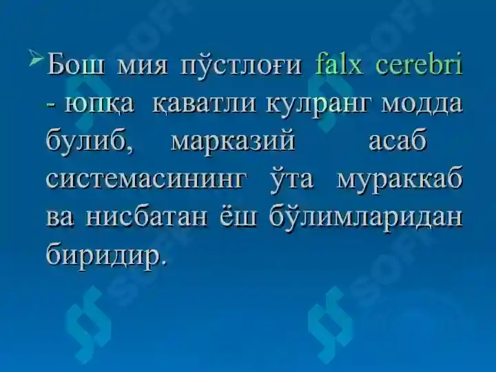 Product slide 7