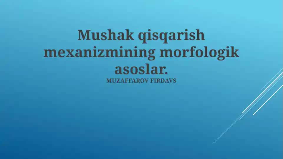 Sarkomerning tuzilishi va vazifasi