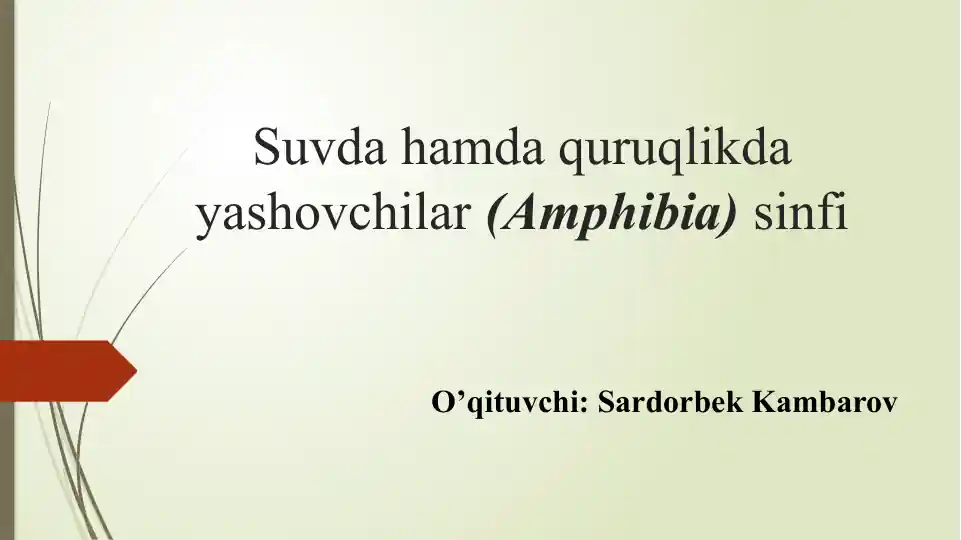 Suvda hamda quruqlikda yashovchilar (Amphibia) sinfi