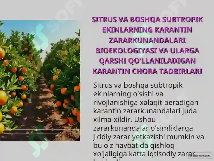 Product slide 5