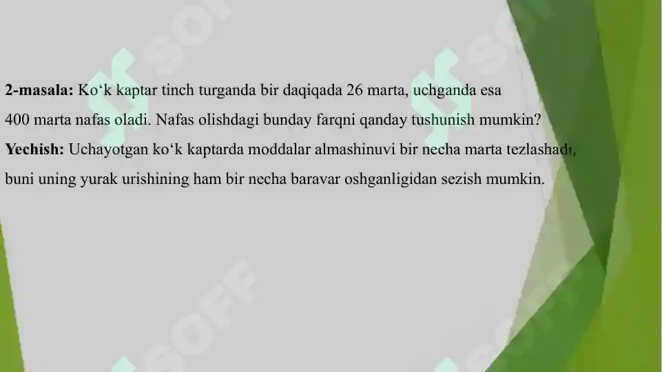Product slide 7