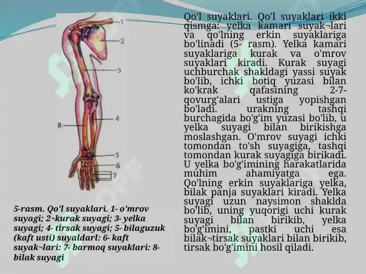 Product slide 7