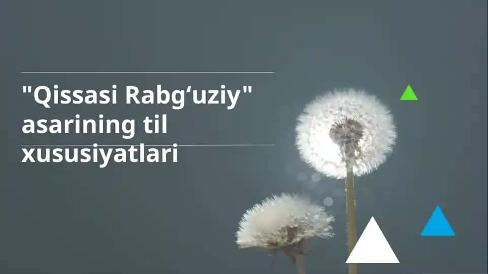 Qissasi Rabgʻuziy