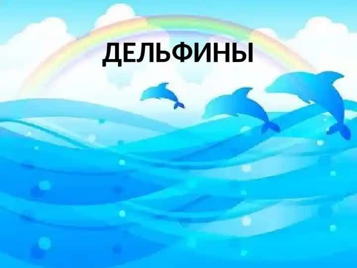 Delfinlar