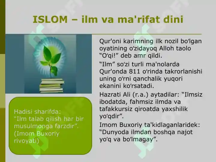 Product slide 6