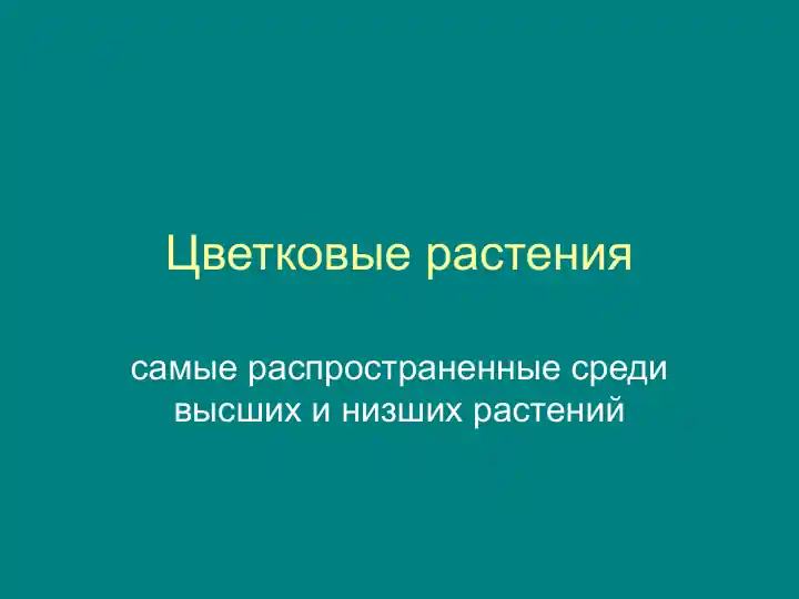 Цветковые растения
