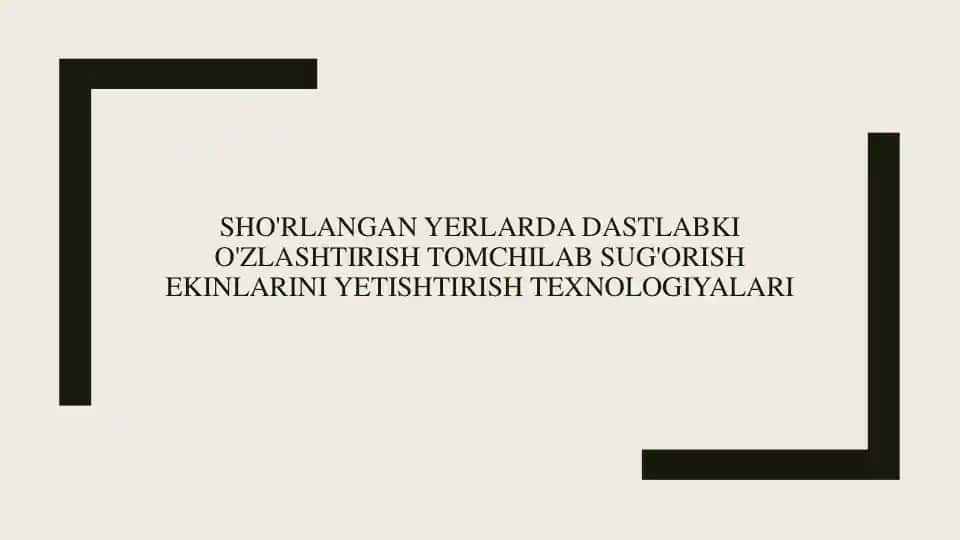 Sho'rlangan yerlarda dastlabki o'zlashtirish, tomchilab sug'orish