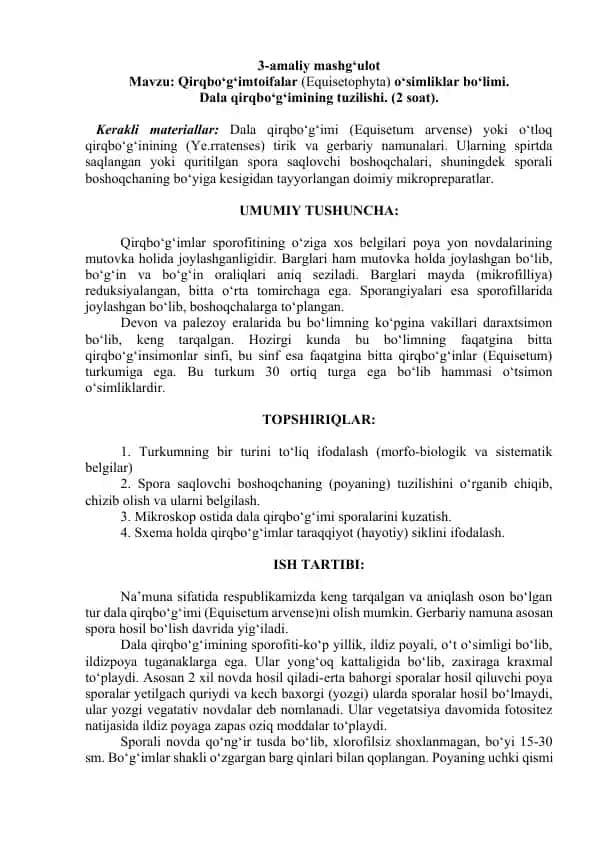 Qirqbo‘g‘imtoifalar (Equisetophyta) o‘simliklar bo‘limi.