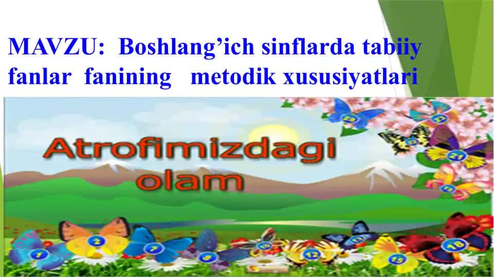 Tabiiy fanlarni o'qitish metodi
