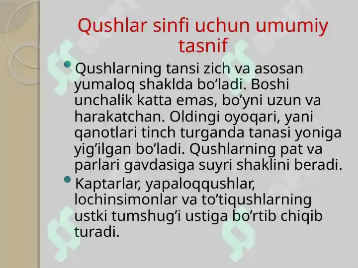 Product slide 6