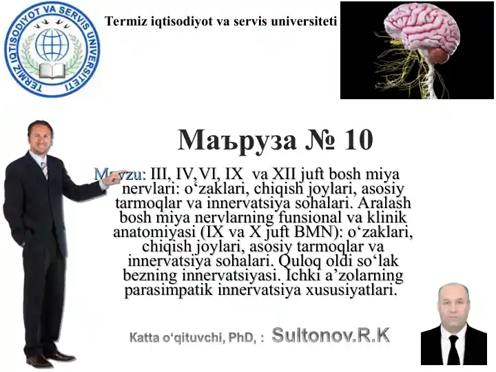 Mavzu: III, IV, VI, IX va XII juft bosh miya nervlari: o‘zaklari, chiqish joylari, asosiy tarmoqlar va innervatsiya sohalari. Aralash bosh miya nervlarning funsional va klinik anatomiyasi (IX va X juft BMN): o‘zaklari, chiqish joylari, asosiy tarmoqlar va innervatsiya sohalari. Quloq oldi so‘lak bezning innervatsiyasi. Ichki a’zolarning parasimpatik innervatsiya xususiyatlari.
