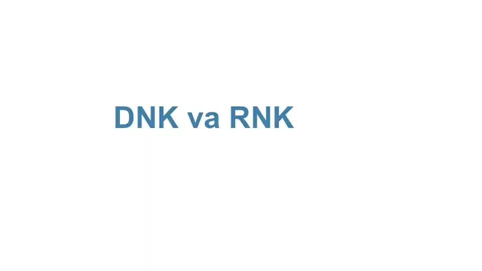 DNK va RNK