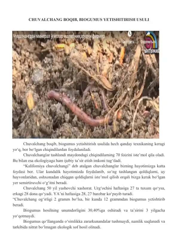 Biogumus yetishitirish usuli