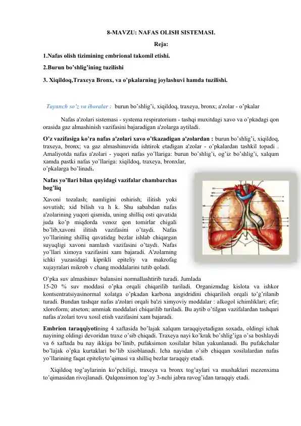 NAFAS OLISH SISTEMASI
