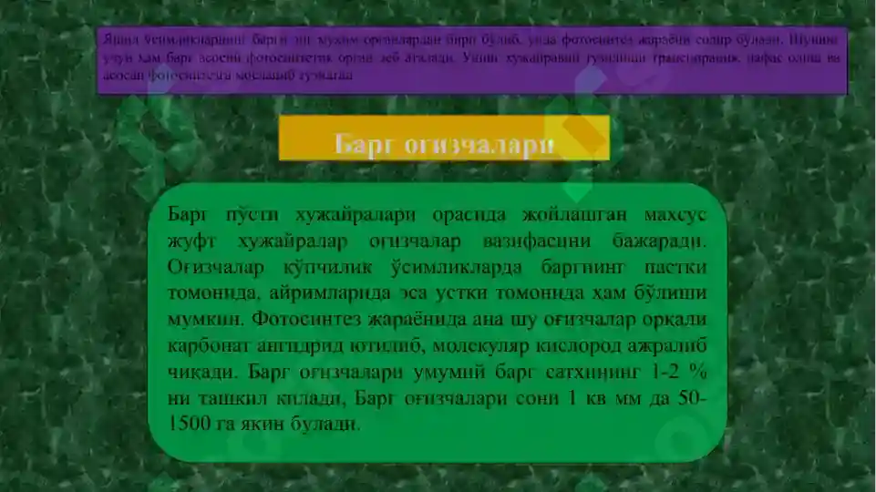 Product slide 7